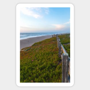 Point Reyes Beach Sticker